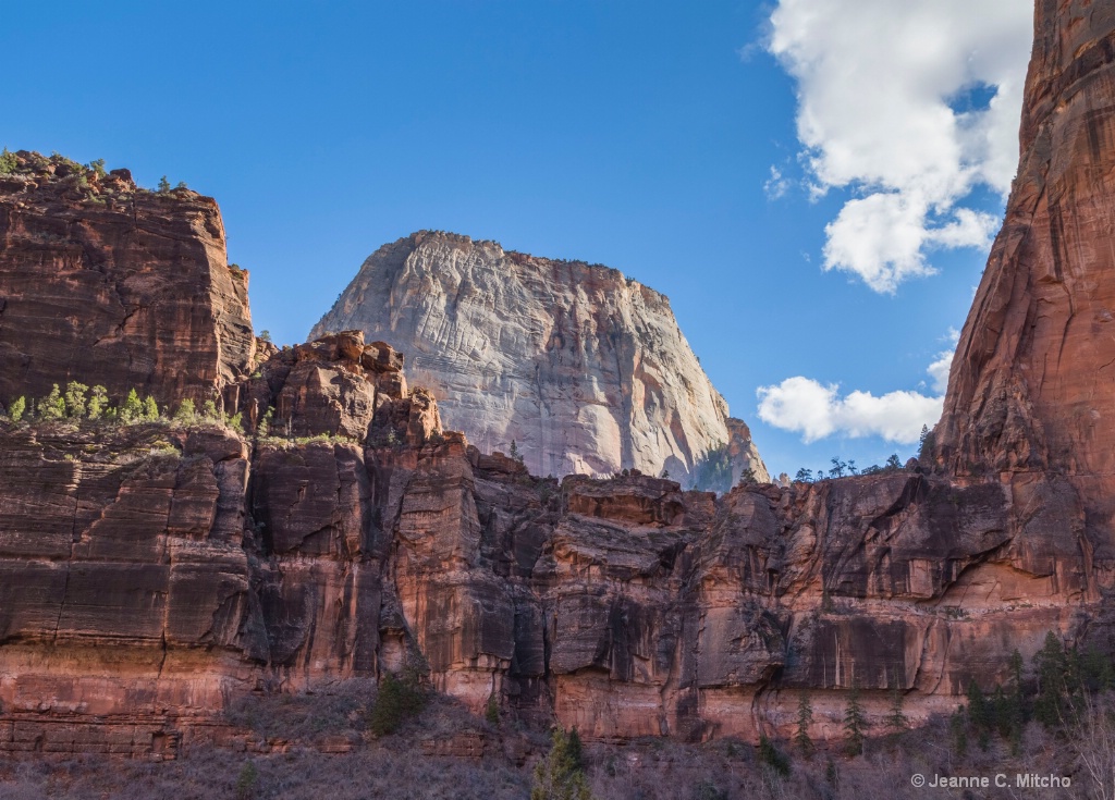 Zion National Park