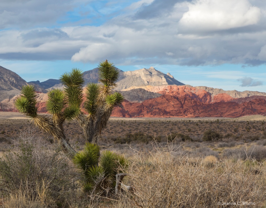 Red Rock Canyon