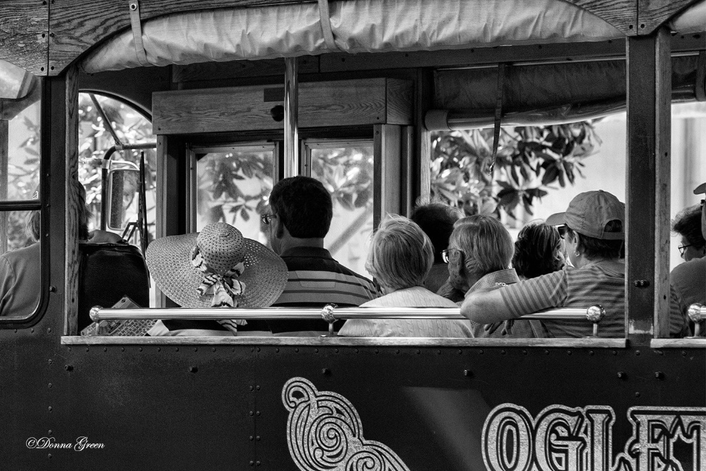 Savannah Trolley