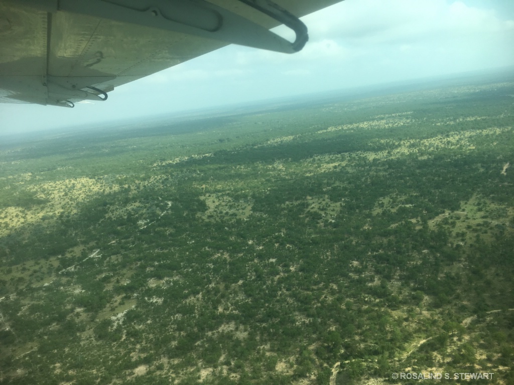 View from bush plane