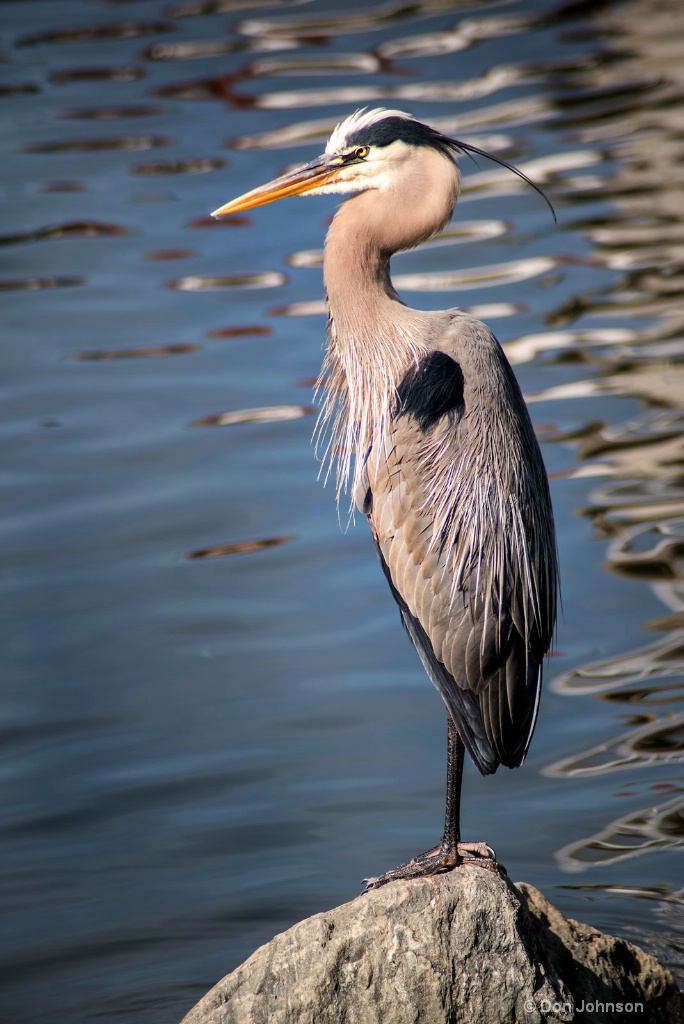 GBH-Rio 3-0 F LR 5-21-18 J248