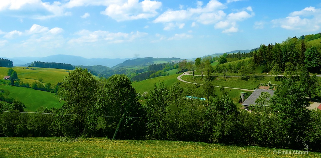 Black Forest near St. Margen