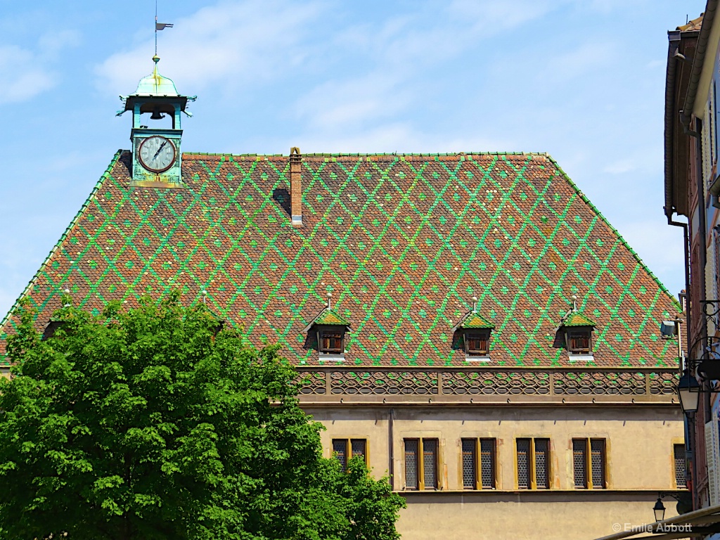 Patterned Roof
