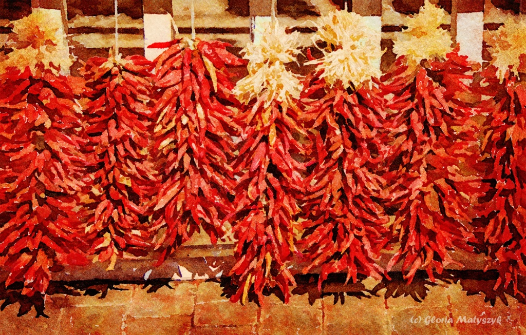 Chili peppers on display.  Albuquerque, NewMexico