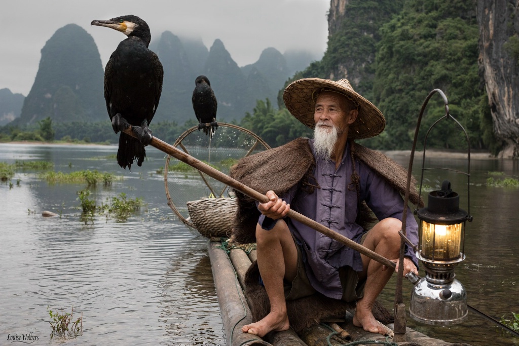 Cormorant Fishing