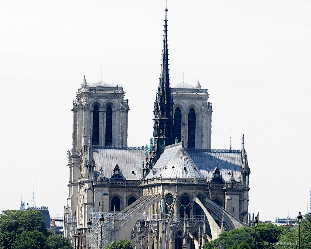 Notre Dame rear view