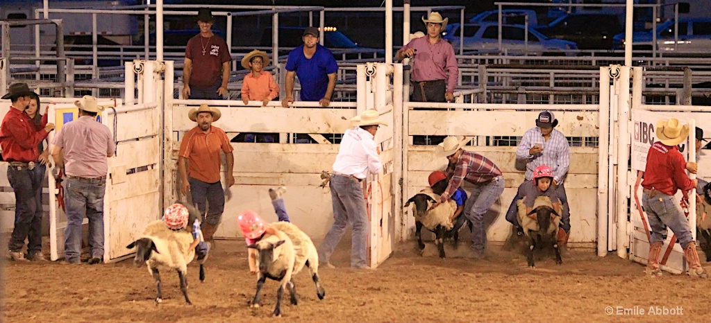 Mutton Busting