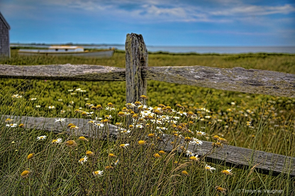 Smiths Point Fence