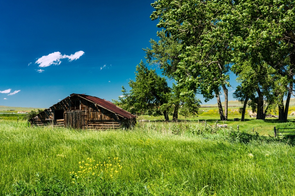 Hog House 