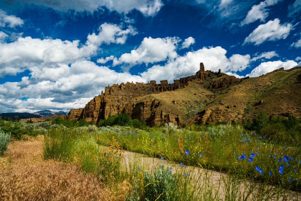 Wapiti Valley 