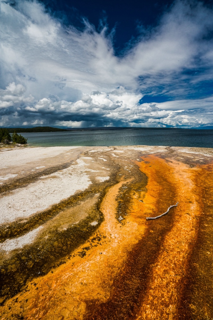 Yellowstone Color Frenzy 