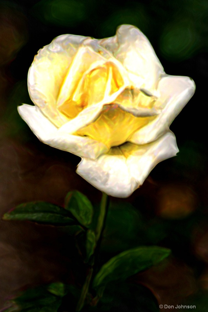 Artistic Rose-White 6-0 F LR 6-10-18 J307