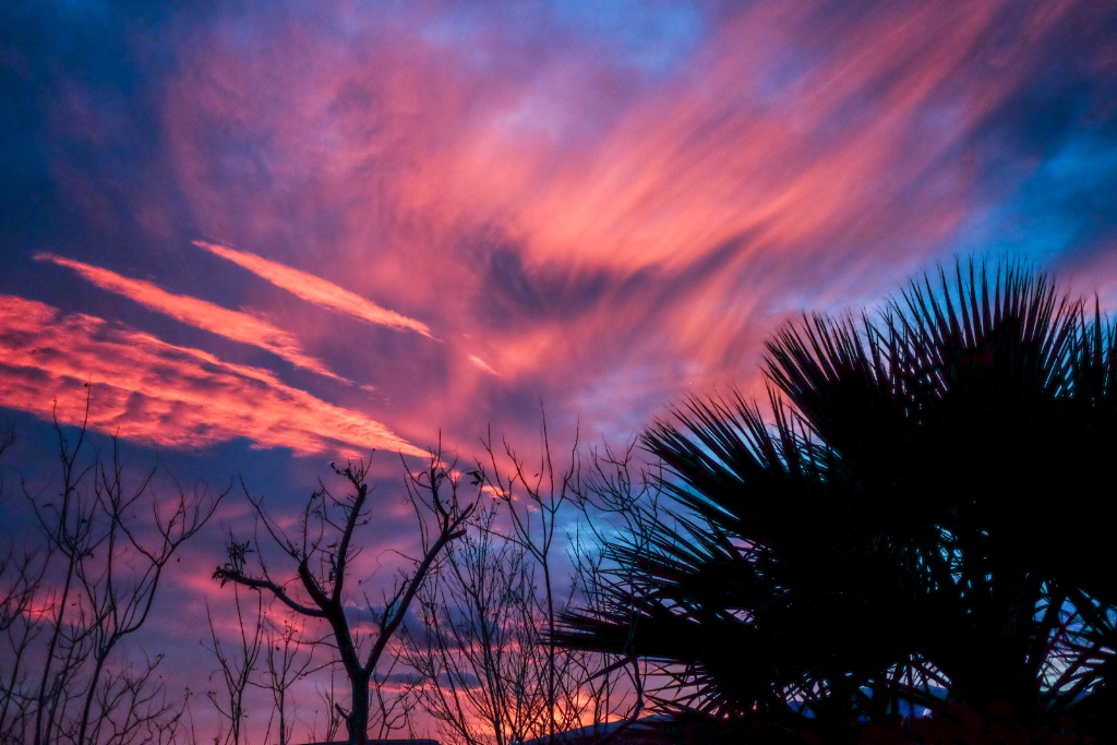 brilliant, wispy clouds at sunset 