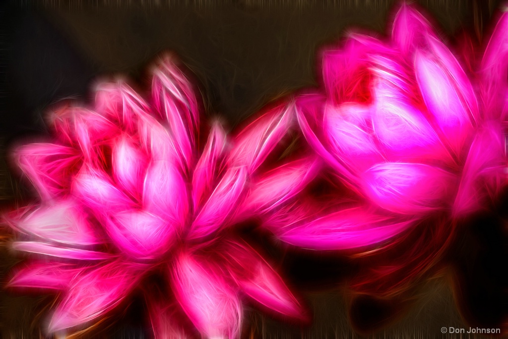 Artistic-Two Water Lilies 6-13-18 132