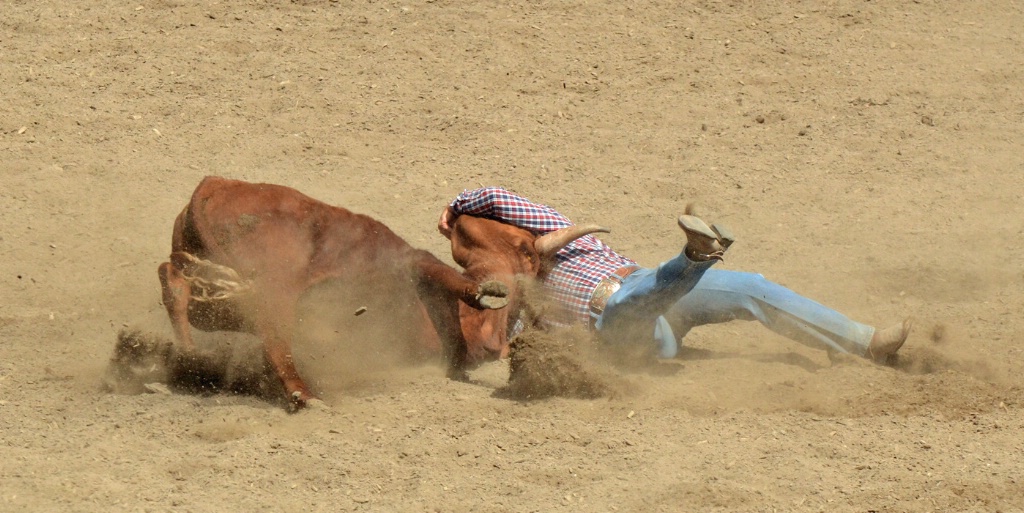 Steer Wrestling