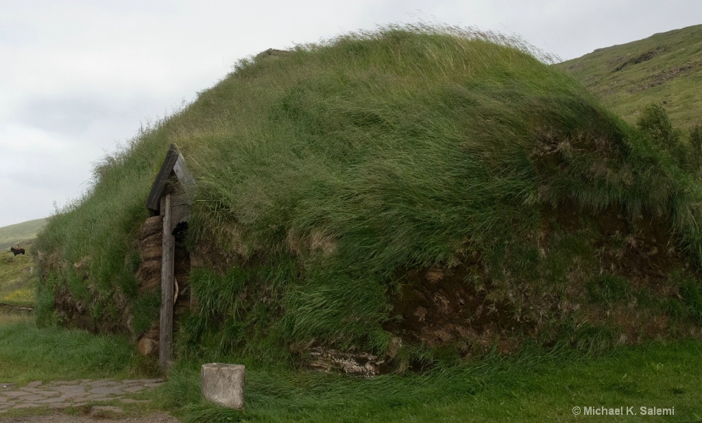 Viking Turf House