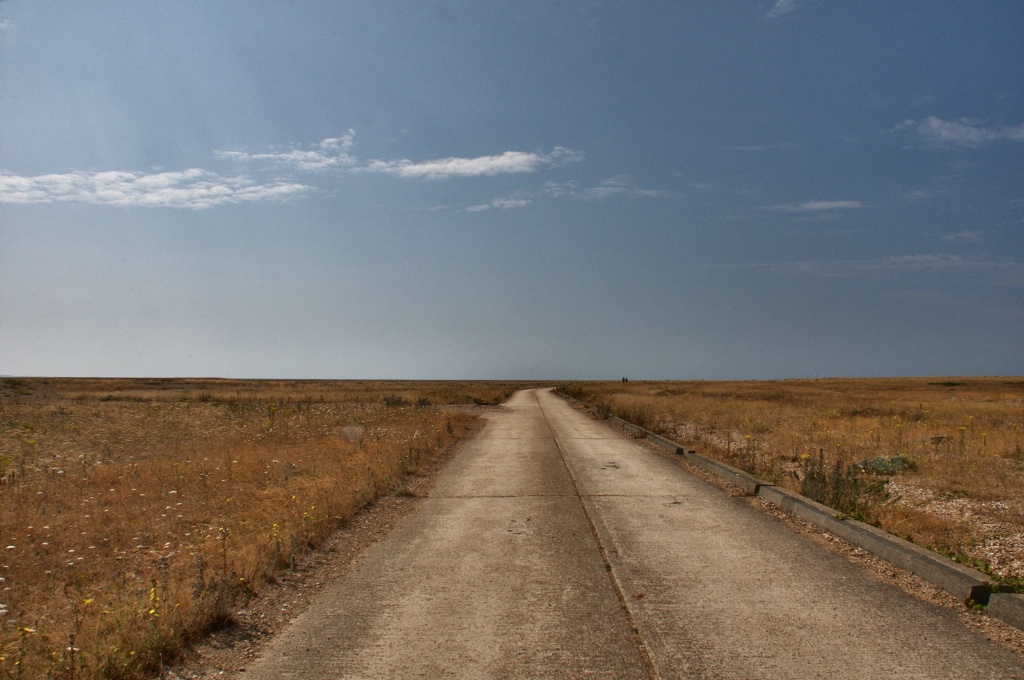 Dungeness  Kent