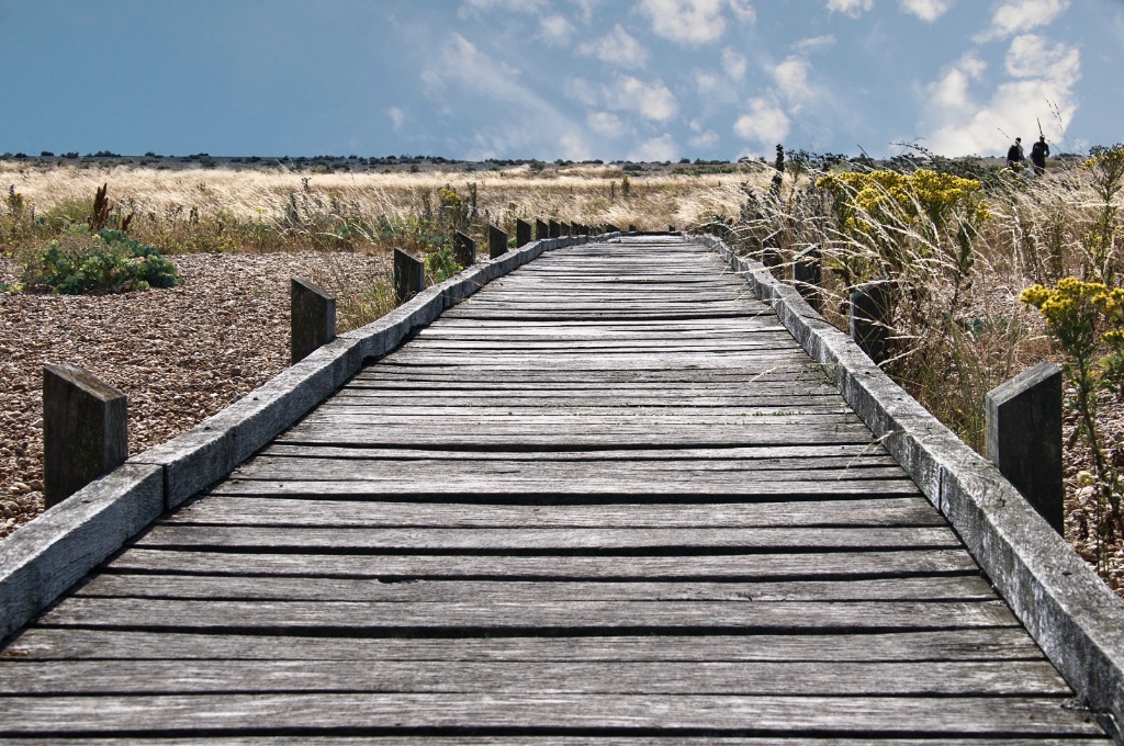 Dungeness Path