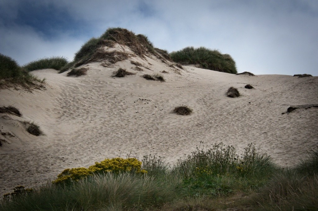 Sand Dunes in Cornwall