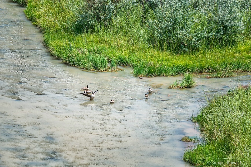 6