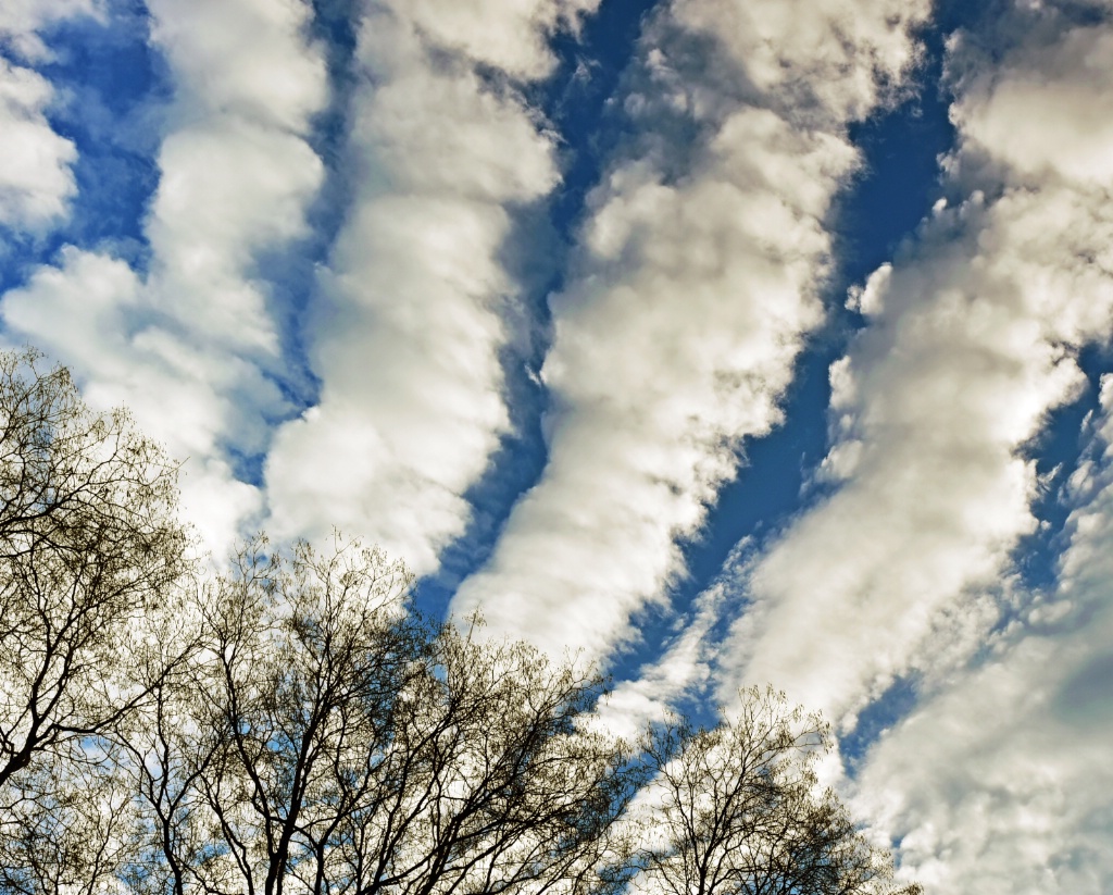 Sky corner with clouds and tree branches.
