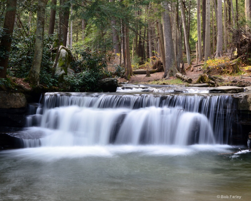 tolliver falls swallow falls state park md 4.JPG