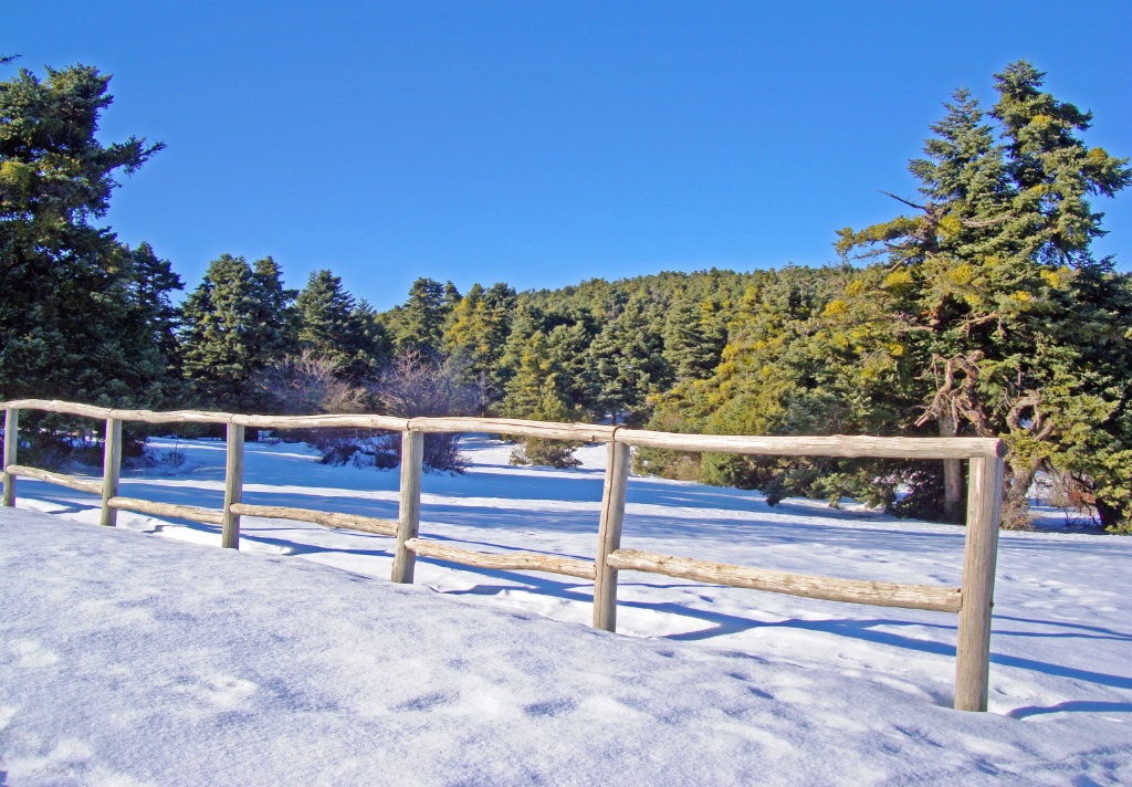 Mountain Park.