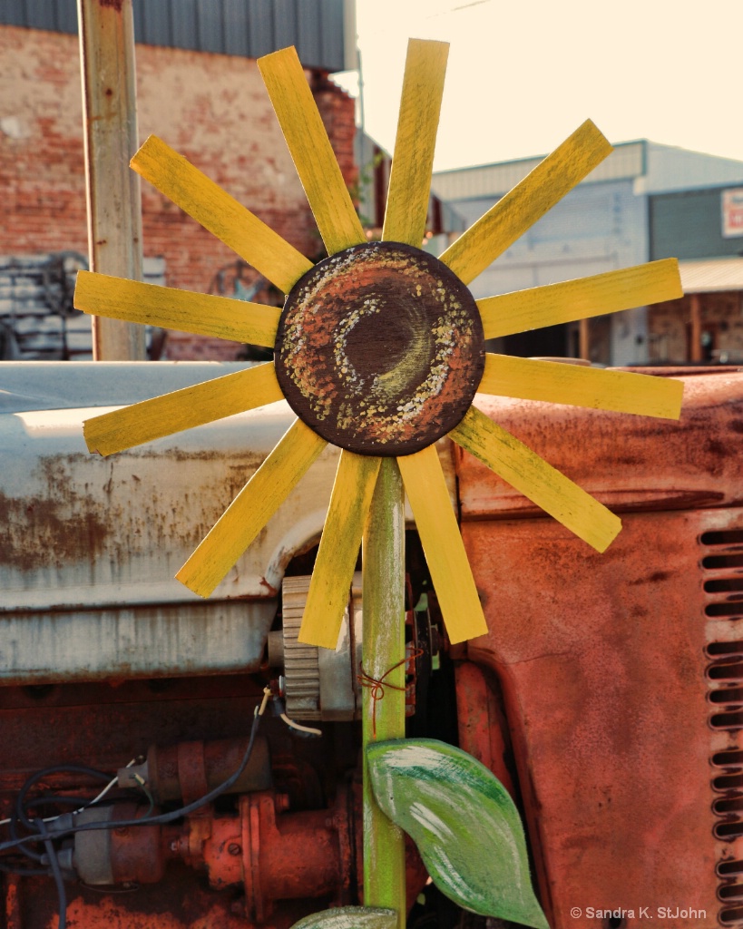 Junkyard Sunflower