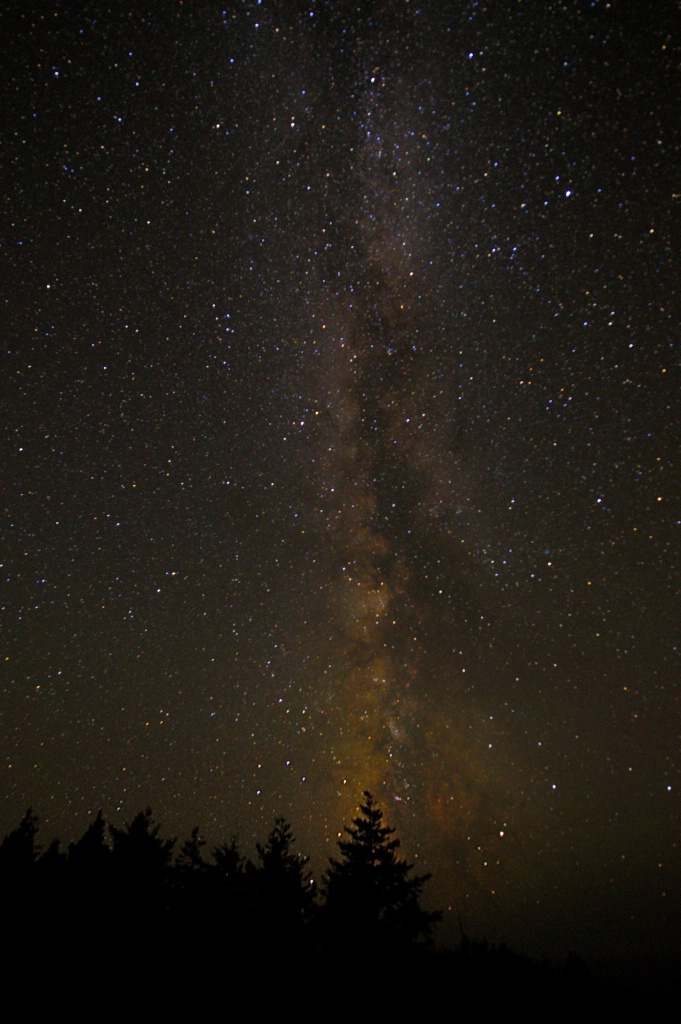 The Milky way 