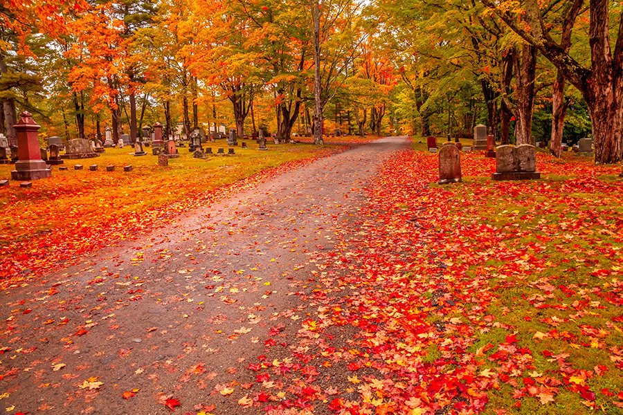 Oak Grove