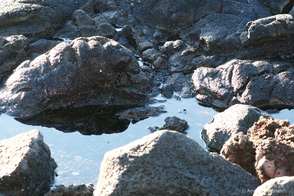 46