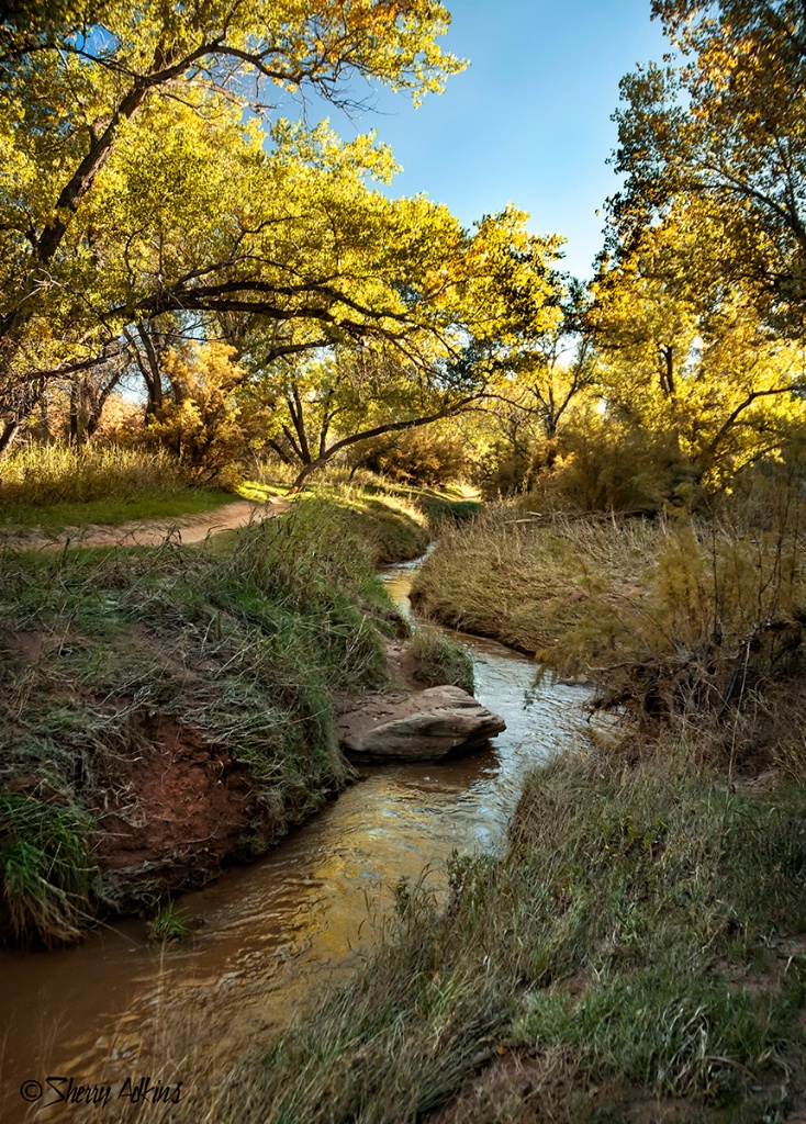 Fall color and reflections