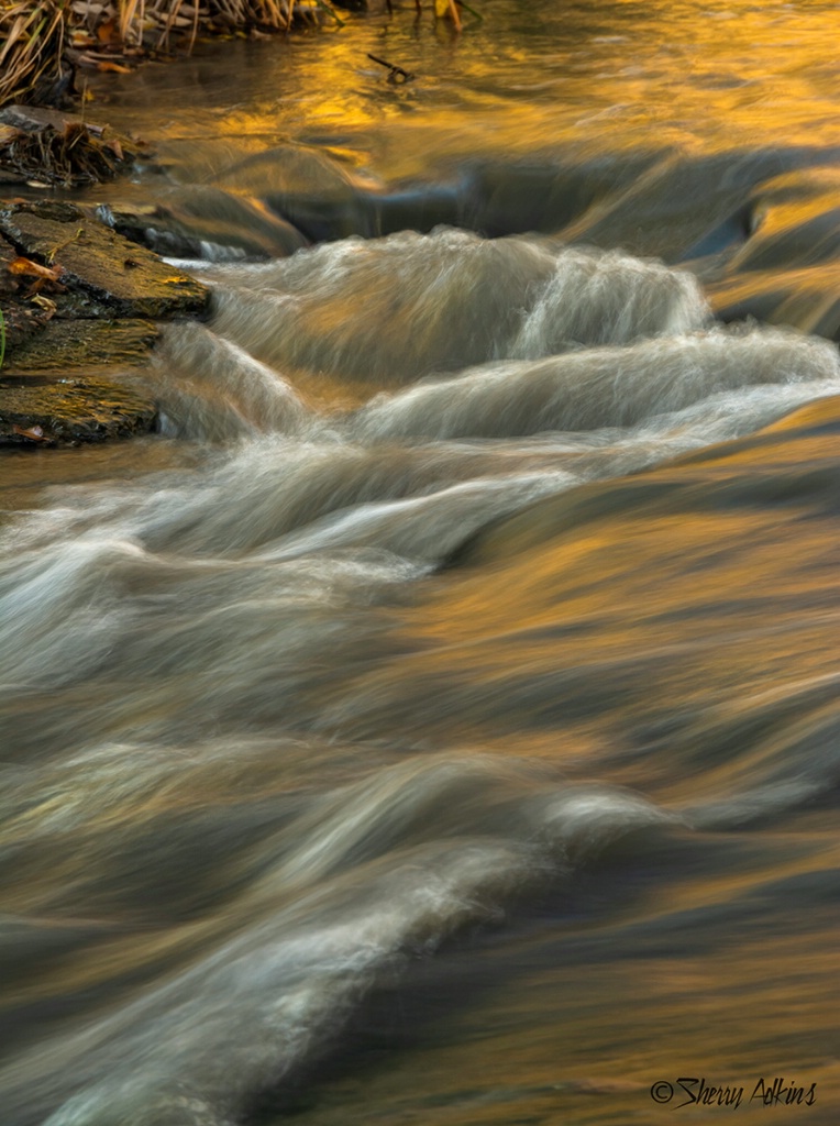 Water and reflections 