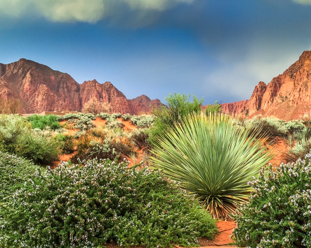 so peaceful in the desert 