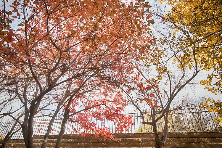  P3A4902c Fall 2018