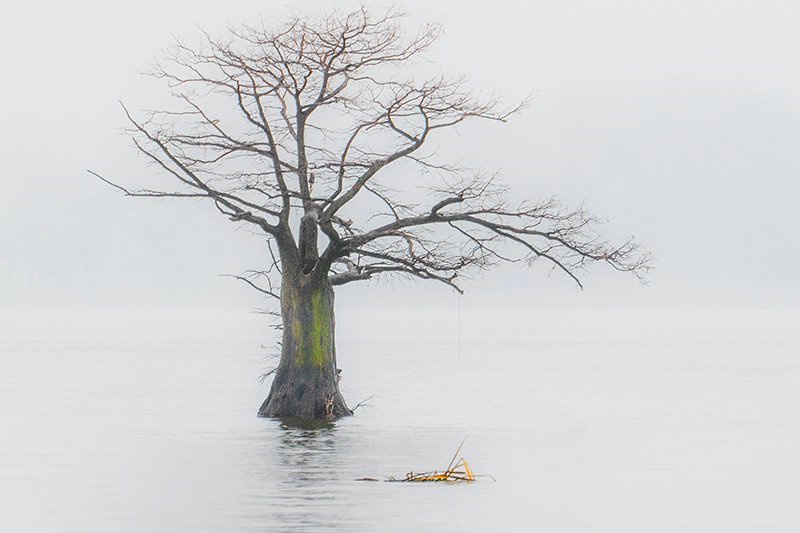  Lone Tree Realfoot 2019- 2