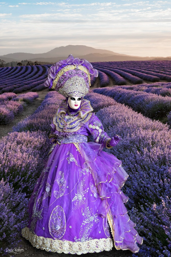 Lavender Queen