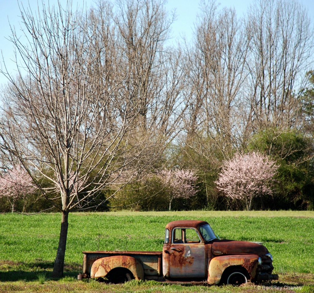 Old cars and trucks