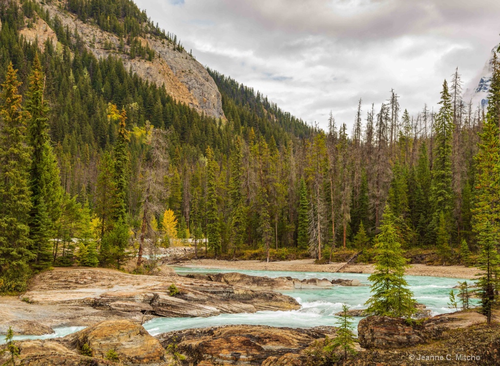 Bow River