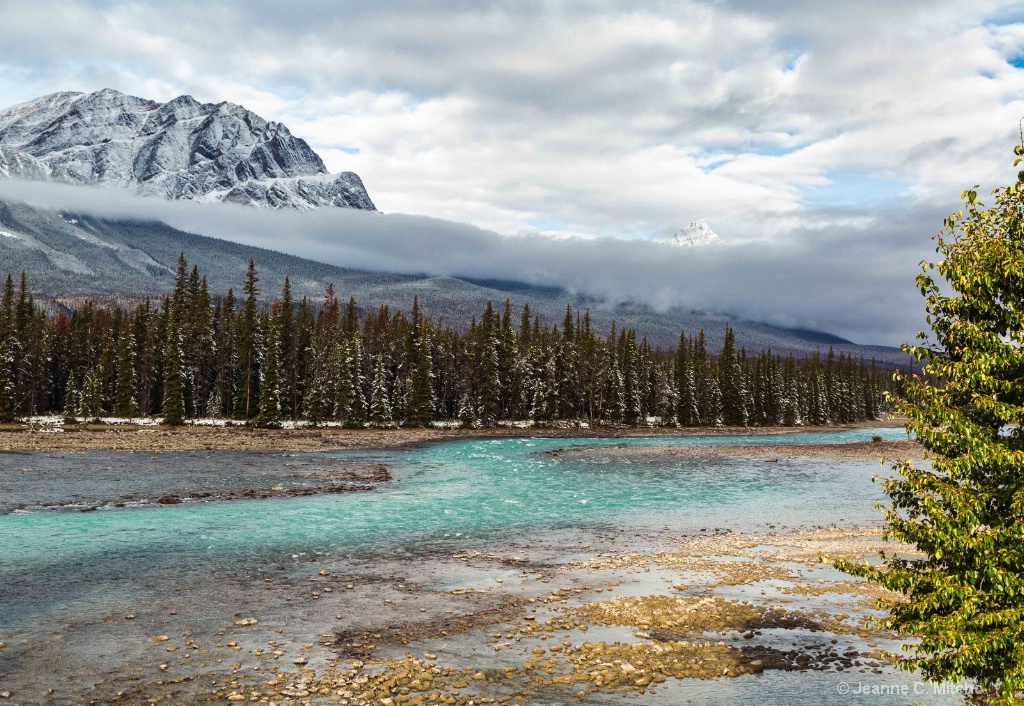 Icefields Parkway 3