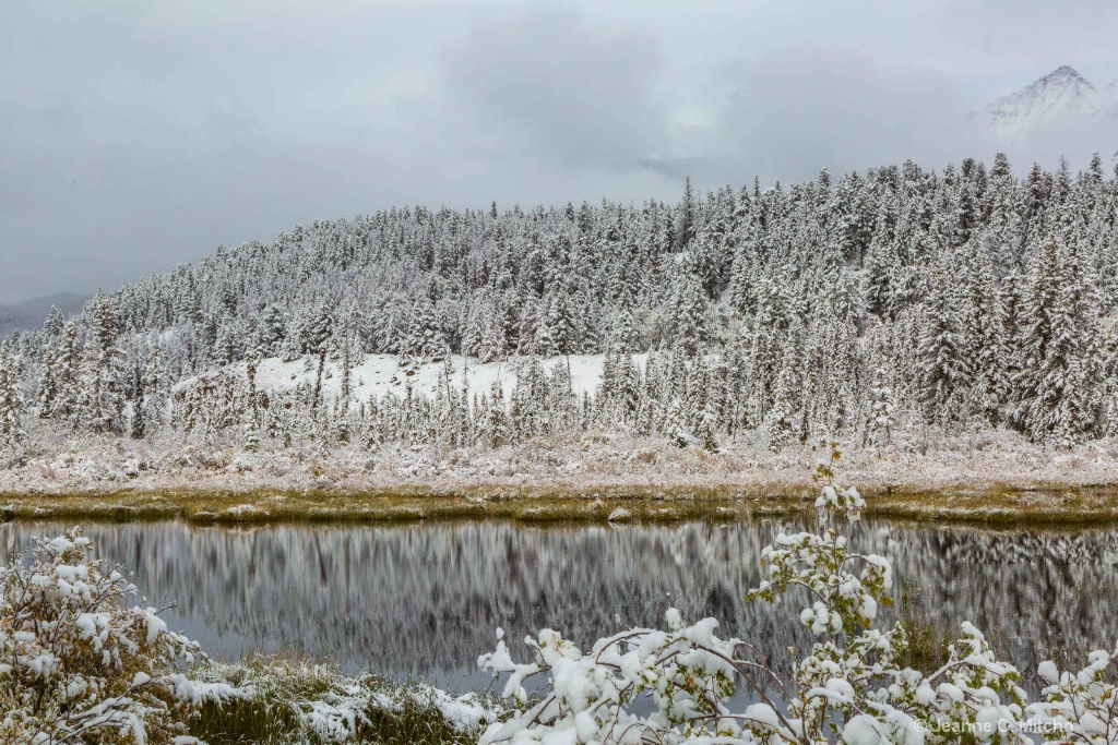 Patricia Lake Jasper