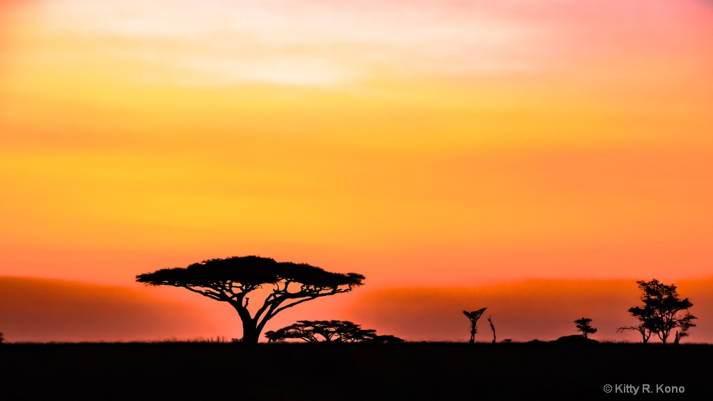 Sunset on the Serengeti