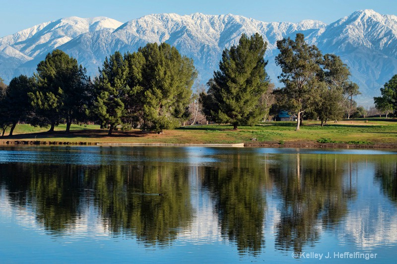 Park Reflection