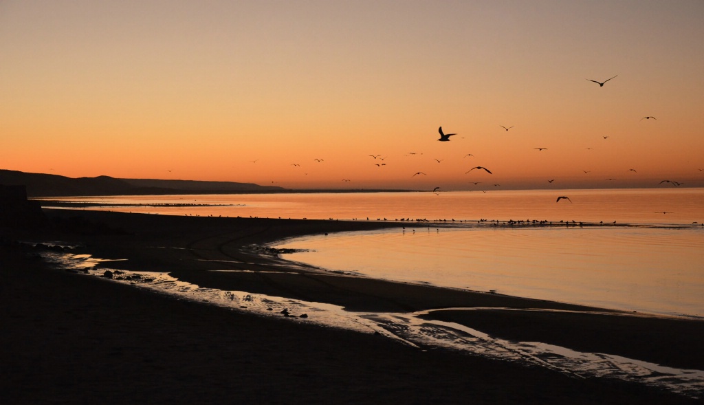 Mexican Sunrise