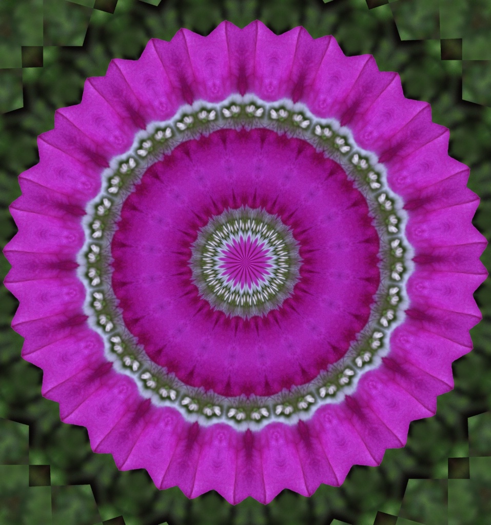 37