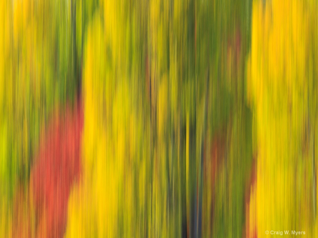 Fall Abstract