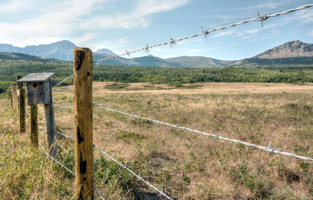 Don't Fence Me In