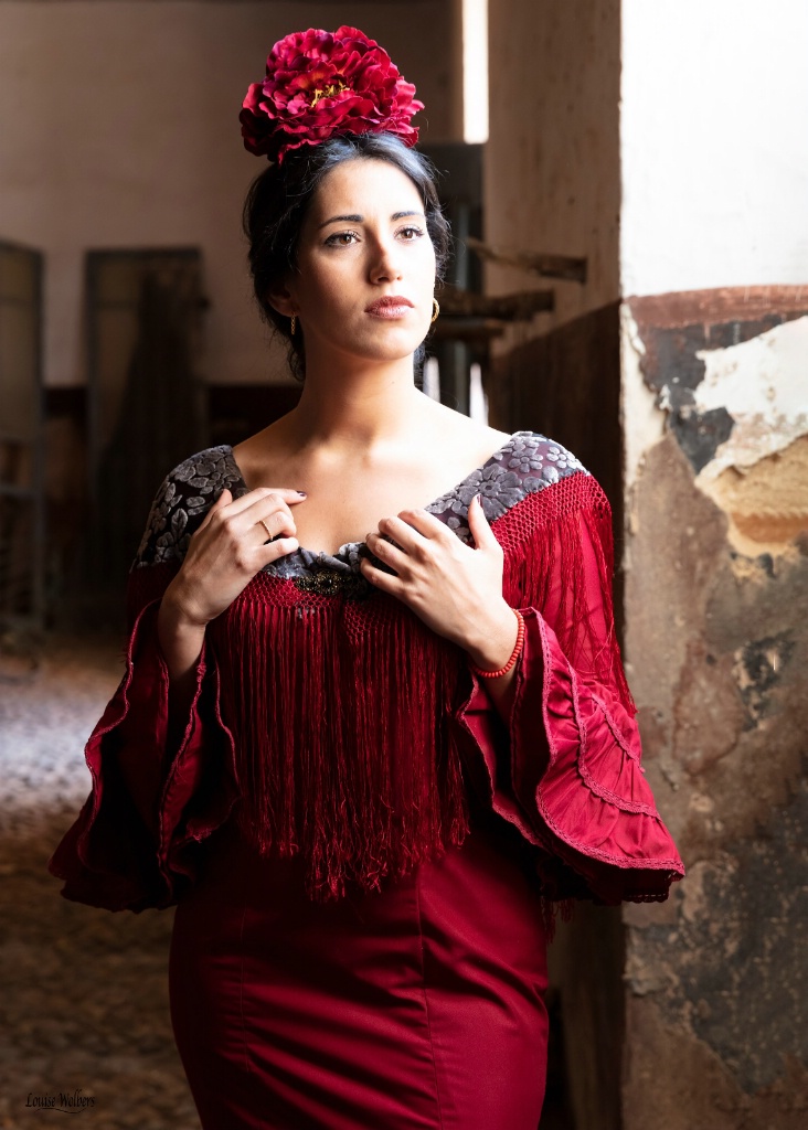 Portrait of a Flamenco Dancer