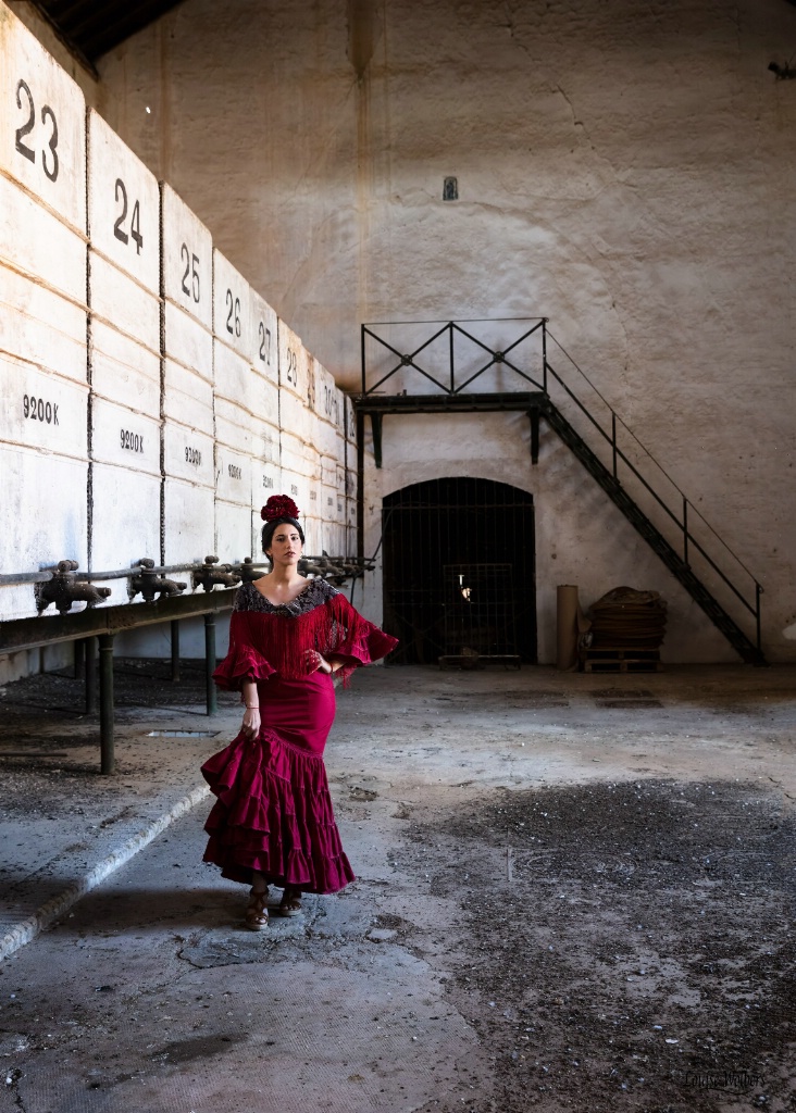 Flamenco Dancer 2