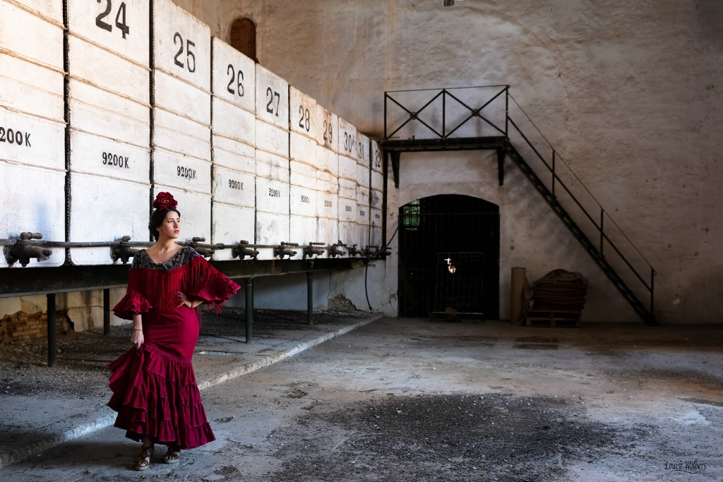 Flamenco Dancer 1